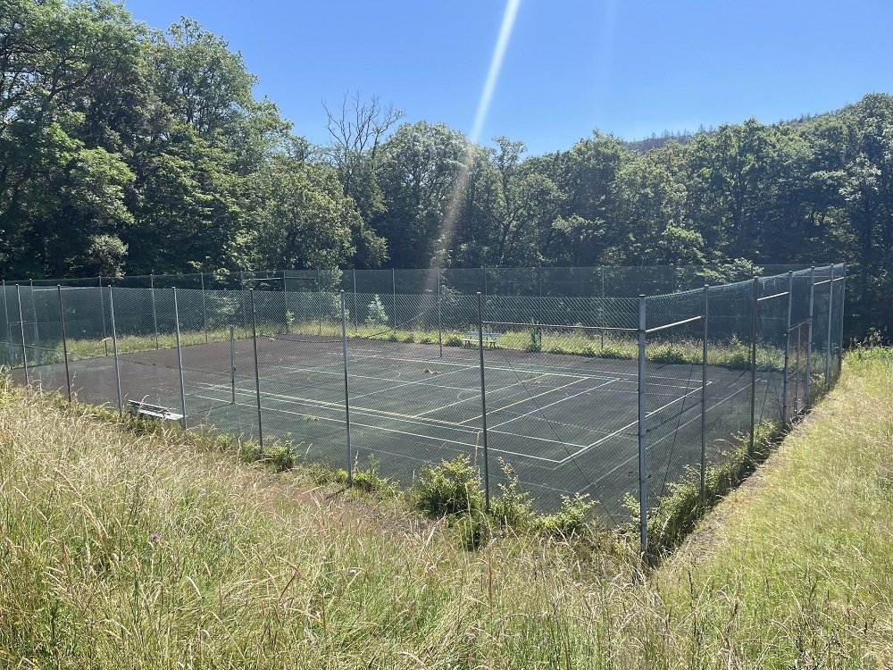 das Volleyballfeld im Grünen 