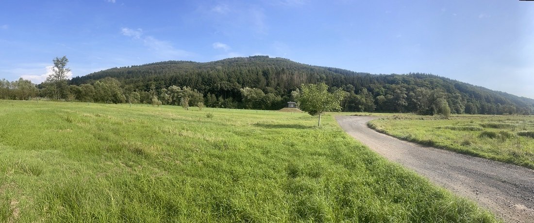 Umgebung Wiesen und Wälder 