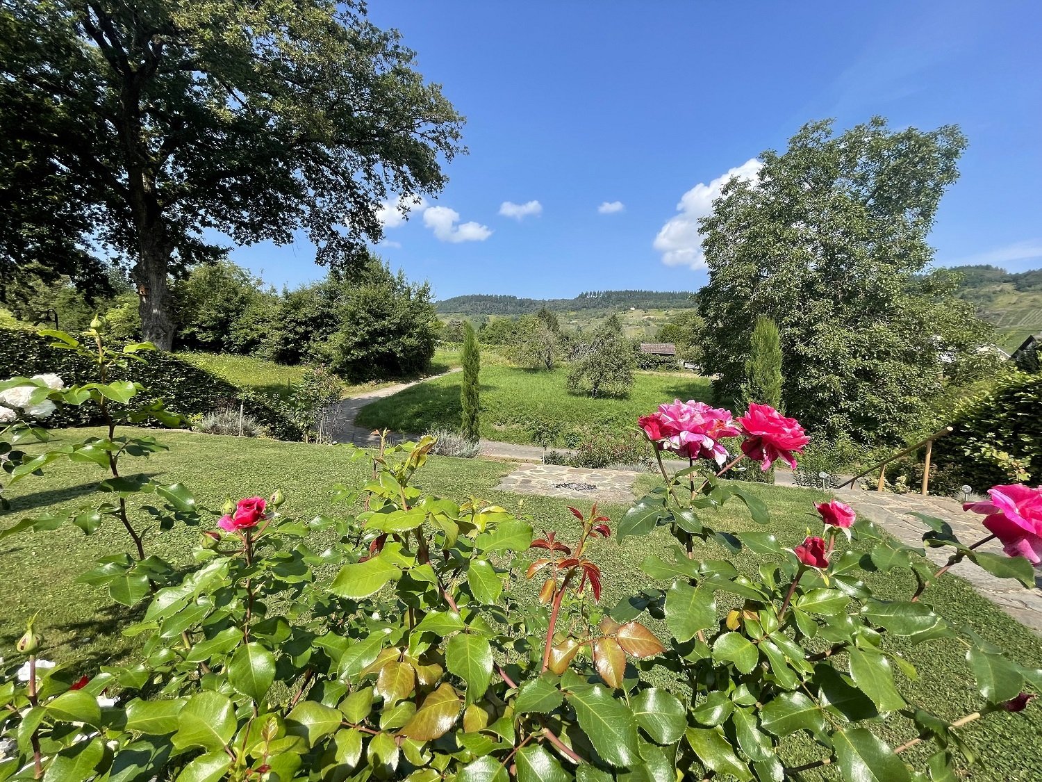 schön angelegter grüner Garten mit Erholungswert