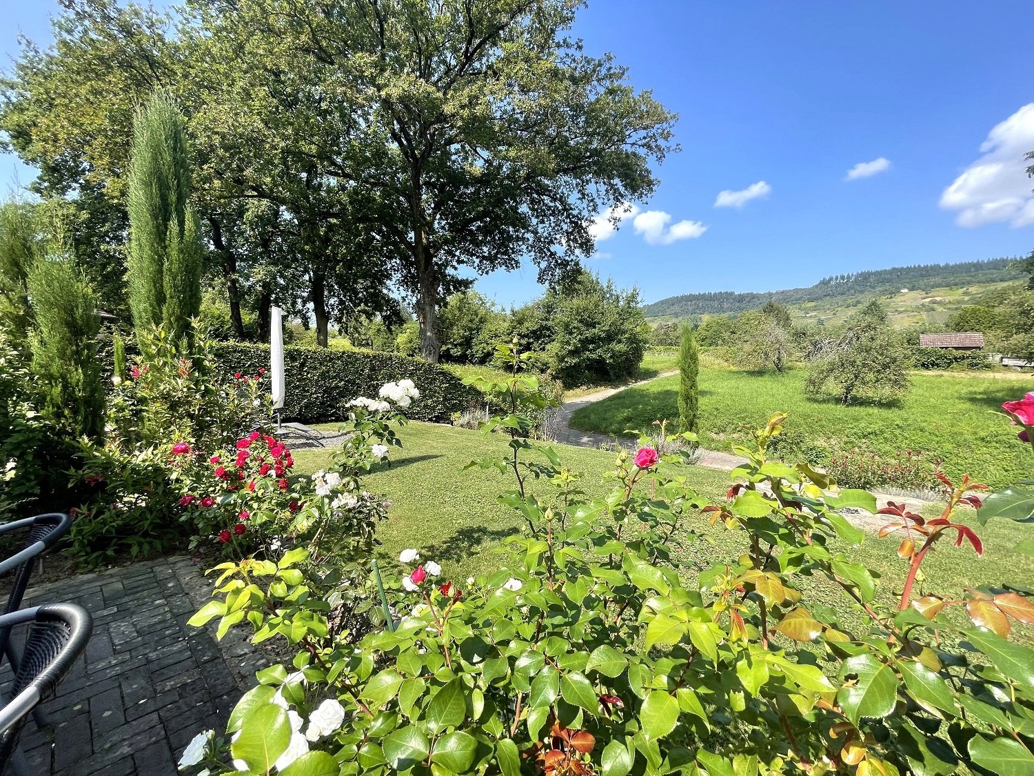 Fernsicht über die Mosel in die Weinberge 