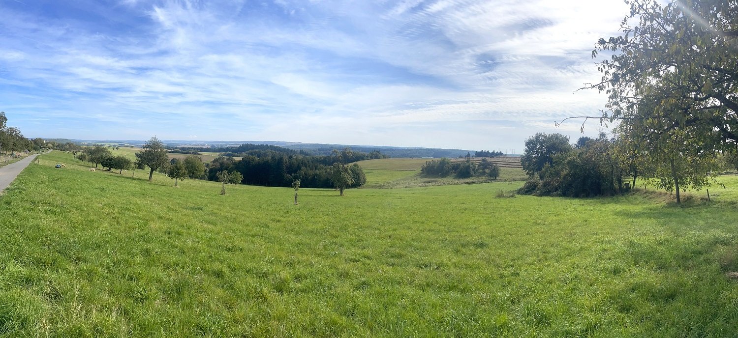 Umgebung unterhalb des Grundsückes / Haus 