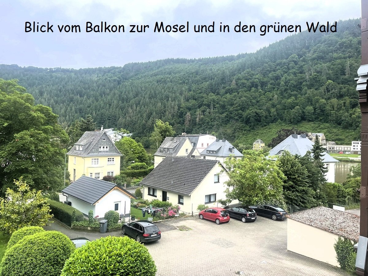 Blick vom Balkon (3x2 Meter) u. vom Wohnzimmer 