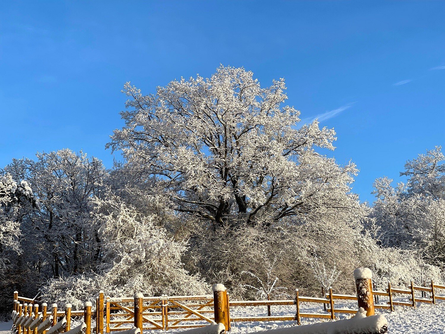 Winter-Impressionen 2024 