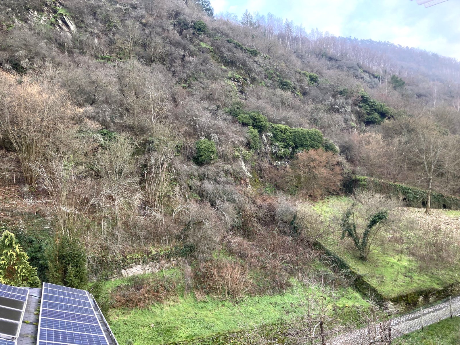 Sicht vom Balkon im DG (sehr ruhige Bergseite)